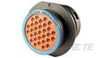 HDP24-24-31PE - Industrial Connectors