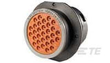 HDP24-24-31PT - Industrial Connectors