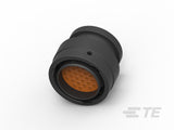 HDP26-24-31PE-L017 - Industrial Connectors